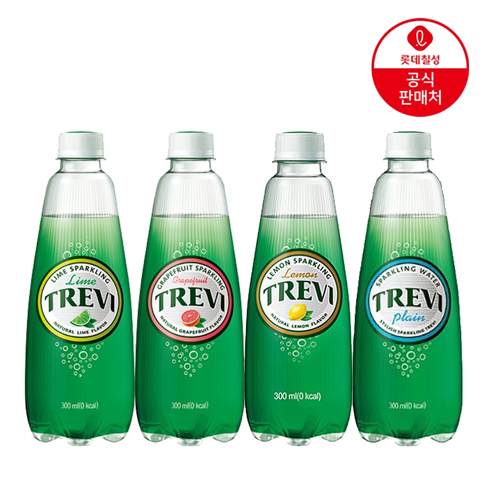 롯데칠성 트레비 300ml*20개 4종