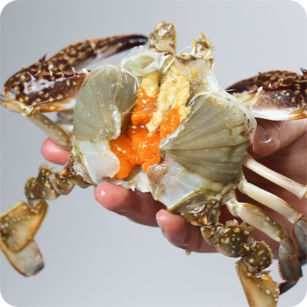 프레쉬푸드 산지직송 국내산 연평도 급냉 알배기 중소사이즈 암꽃게 1kg (3-5미)