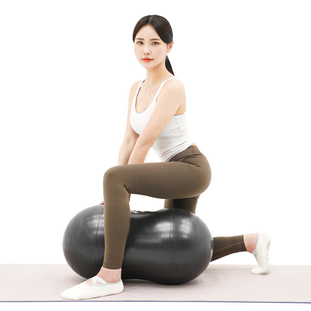 땅콩짐볼 65cm 짐볼 그레이 요가 필라테스 가격 비교 이고진 땅콩짐볼 65cm 짐볼 그레이 요가 필라테스