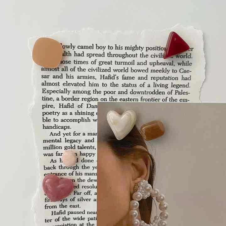 ローズブロッサム マグネット 6点セット