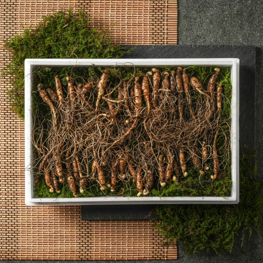 산삼 5년~7년 200G 가격 비교 산이키운삼 산삼 5년~7년 200G
