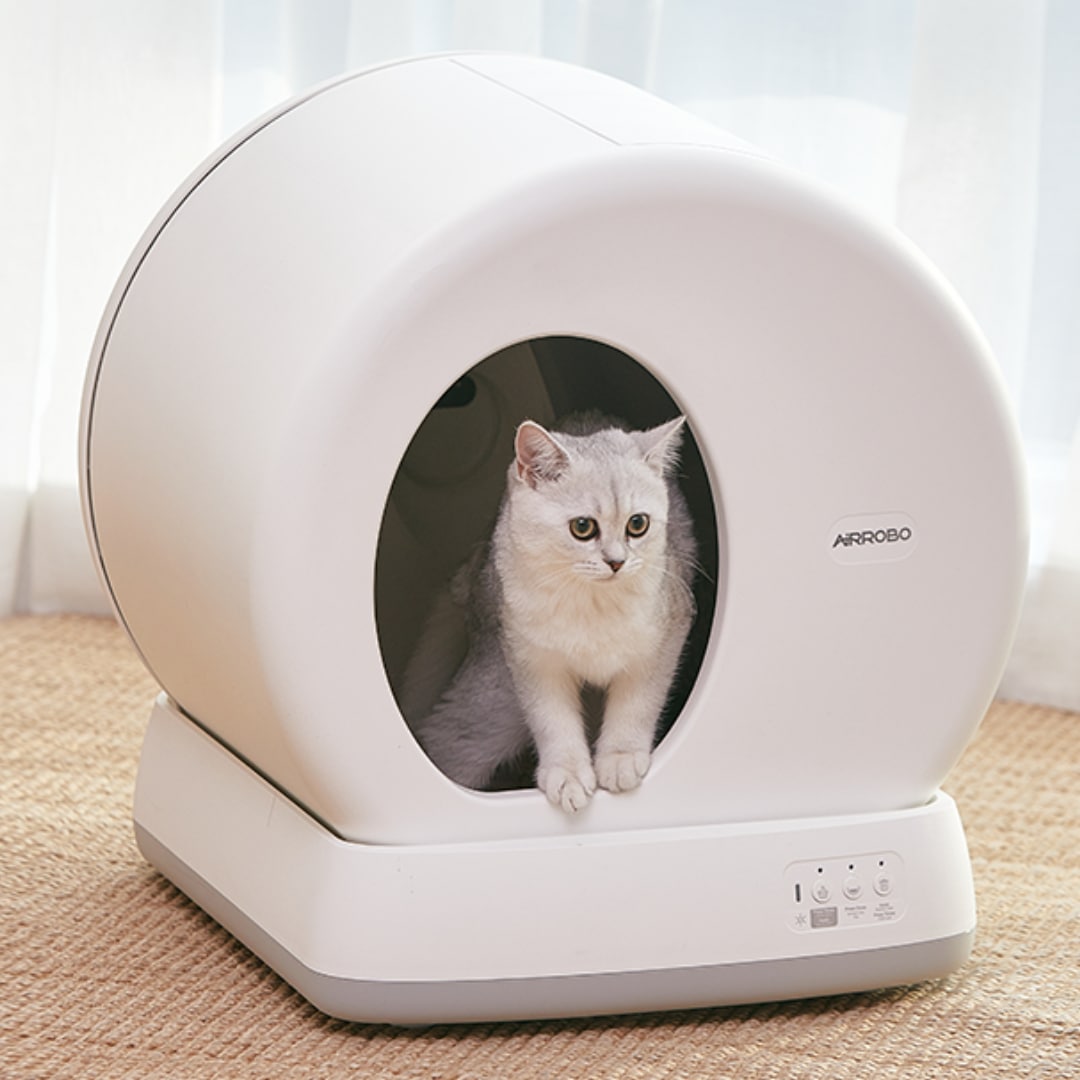 오늘의집 디클펫 고양이 자동 화장실 에어로보 UCAT Pro 카메라 포함
