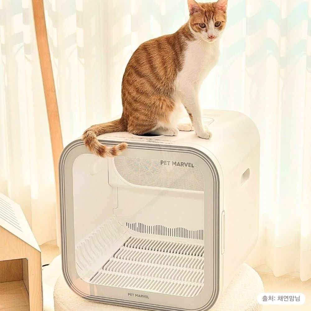 디클 디클펫 펫드라이룸 DP-DCH4 강아지 고양이 드라이기 듀얼팬 빠른건조