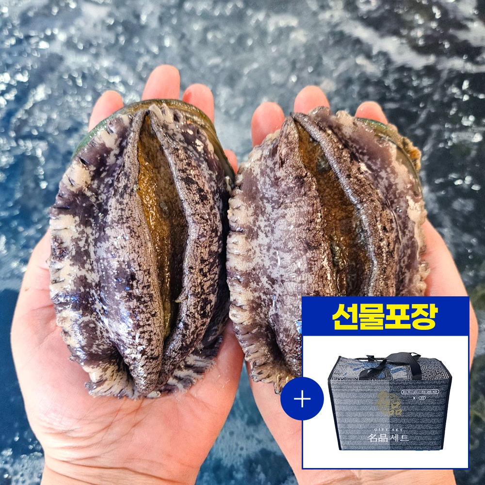 선물세트포장 완도 활전복 1kg(11~12미) + 전복칼증정 가격 비교 마녀바스켓 선물세트포장 완도 활전복 1kg(11~12미) + 전복칼증정