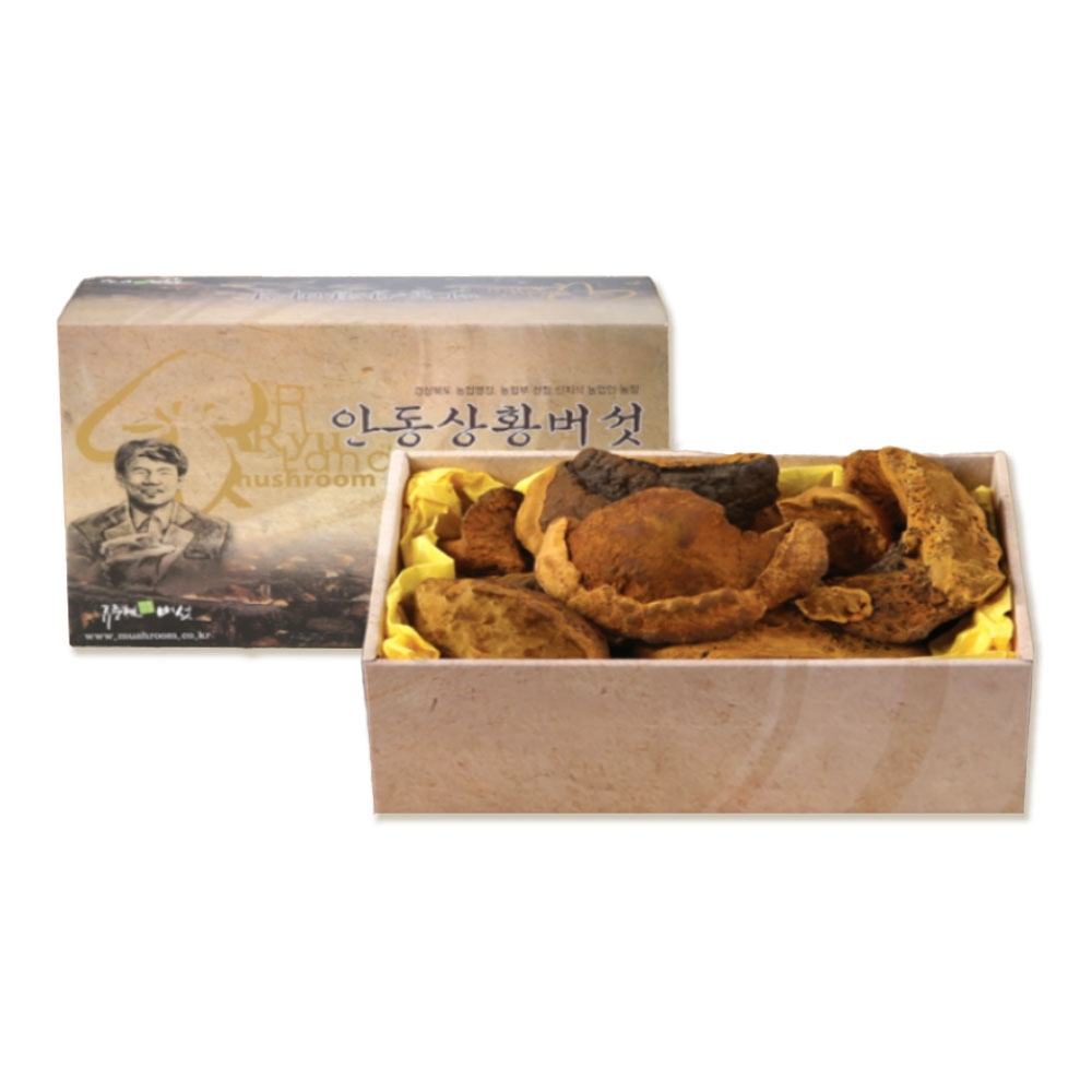 류충현장인 명장 국내산 상황 버섯 500g 중품