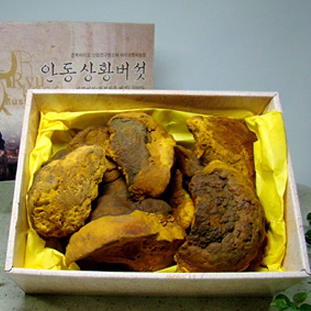 류충현장인 명장 국내산 상황 버섯 500g 상품
