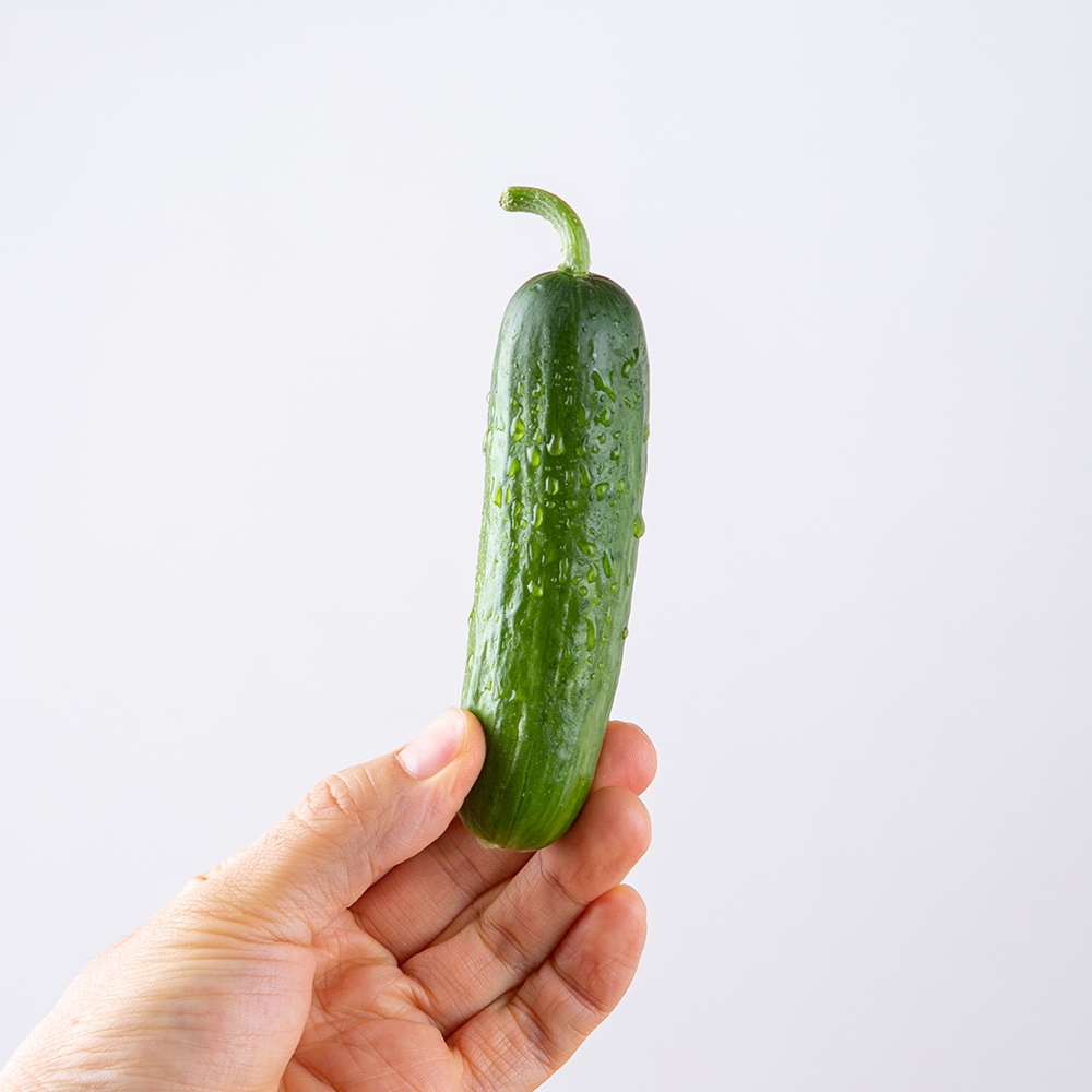 아삭아삭 귀여운 국내산 미니오이 1kg / 2kg 가격 추이 산해직송 아삭아삭 귀여운 국내산 미니오이 1kg / 2kg - 최저가 11,900원