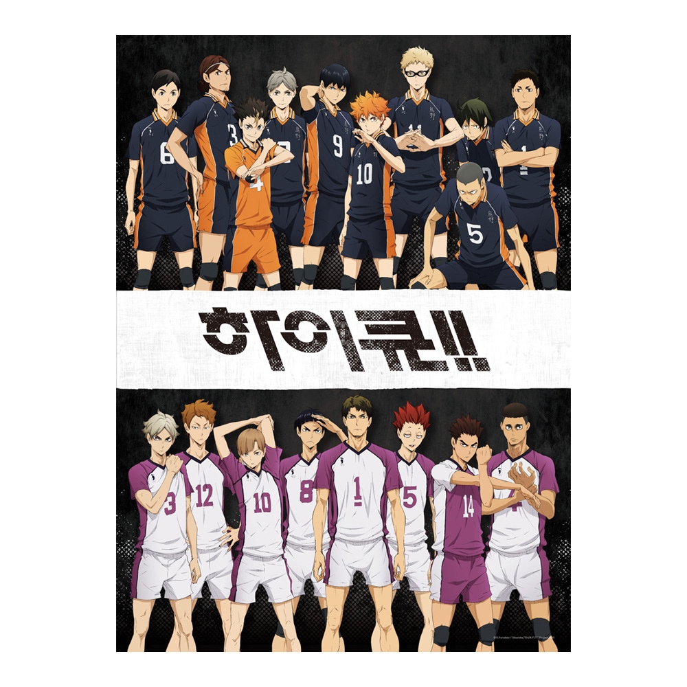 하비스 하이큐 3기 카라스노 VS 시라토리자와 500피스 DF-H05-077