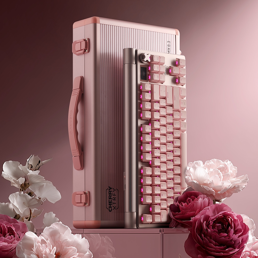 체리 엑스트리파이 MX 8.3 TKL 8K 무선 키보드 (핑크, Petal MX2A) 가격 추이 CHERRY 체리 엑스트리파이 MX 8.3 TKL 8K 무선 키보드 (핑크, Petal MX2A) - 최저가 399,000원