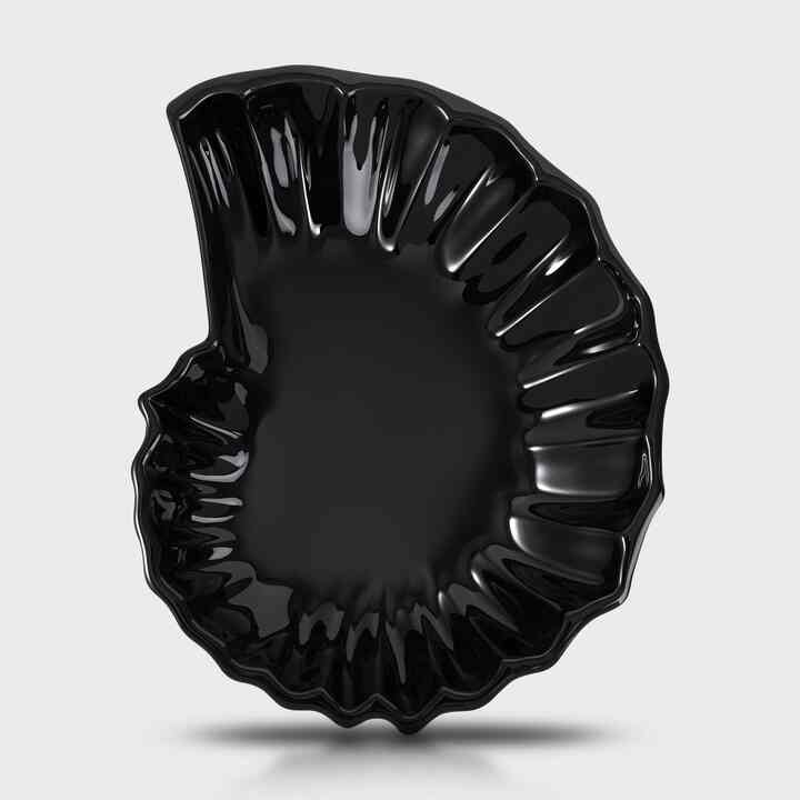 Ammonite プレート［2色］