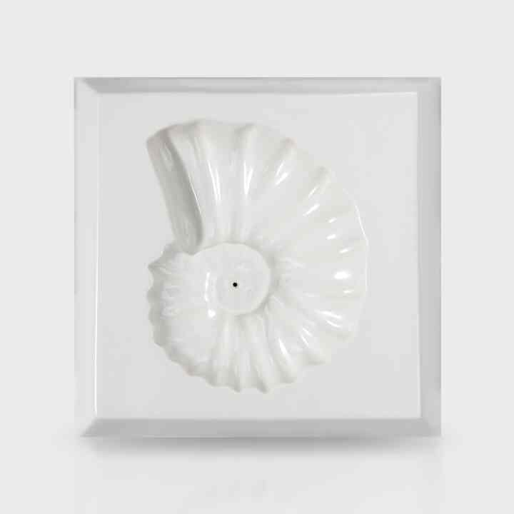 Ammonite インセンスホルダー［2色］