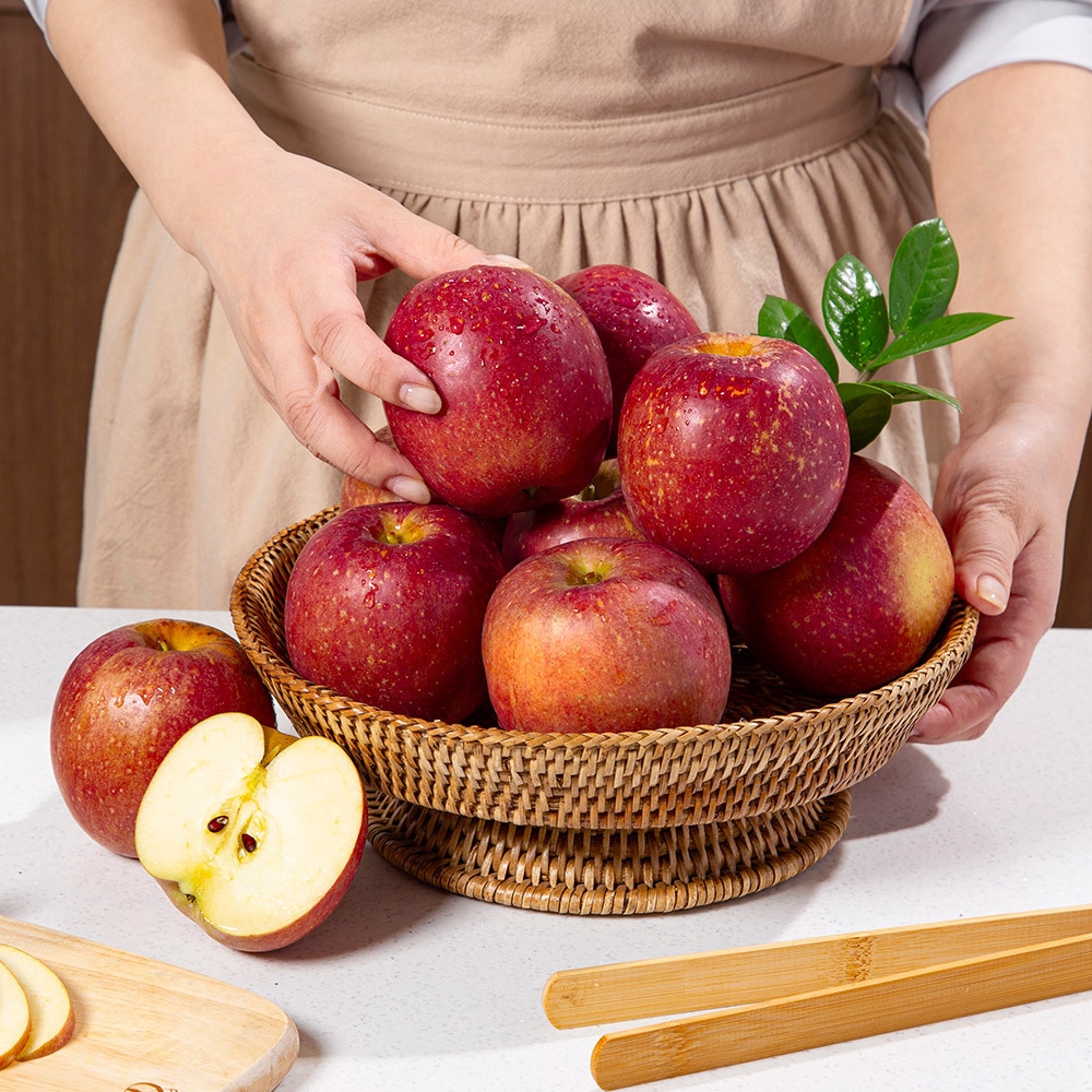 햇사과 경북직송 감홍사과 (가정용) 5kg 29-31과 가격 비교 더조은푸드 햇사과 경북직송 감홍사과 (가정용) 5kg 29-31과
