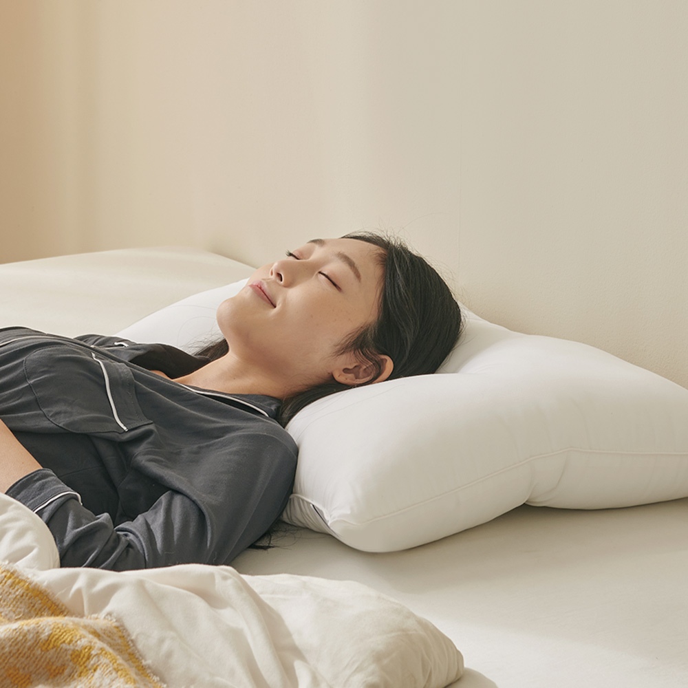 1+1 마이크로 화이버 경추 베개솜 2size 가격 추이 모던하우스 1+1 마이크로 화이버 경추 베개솜 2size - 최저가 9,520원