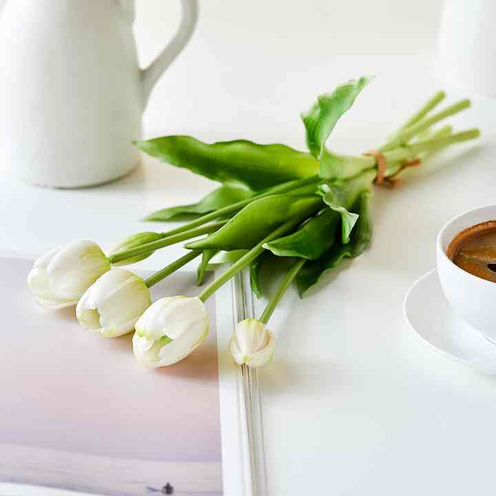 チューリップブッシュ×5 クリーム