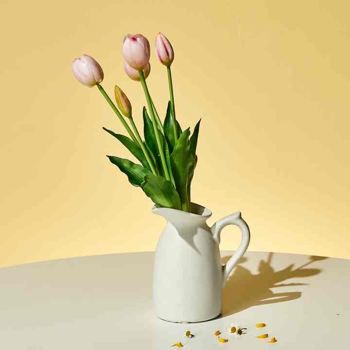 チューリップブッシュ×5 41cm ライトピンク