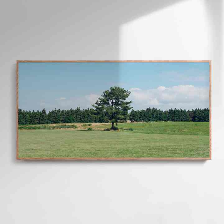 Jeju Piece 051 ポスター［2サイズ］