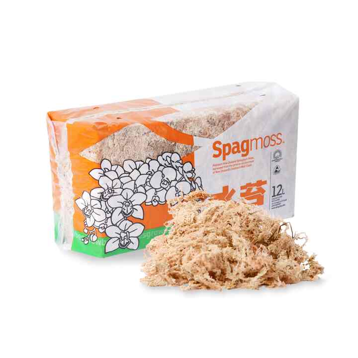 ニュージーランド産 水苔 AA150g 12L