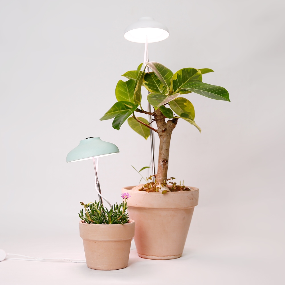데팡스 식물성장등 LED 밝기조절 재배 생장 화분조명 5colors