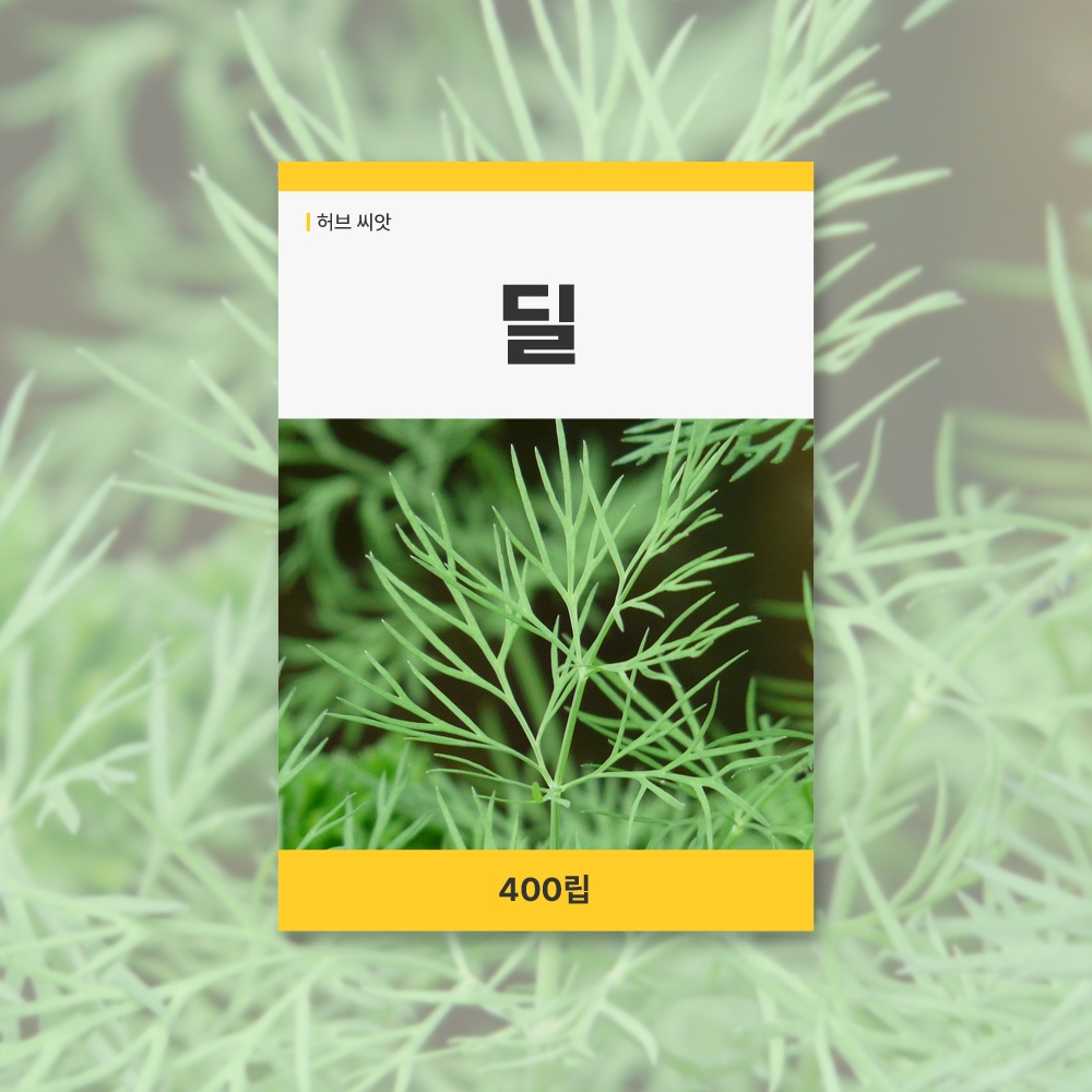 식물 > 딜 씨앗 400립 허브 잔디 씨앗 새싹 키우기 | 오늘의집 쇼핑