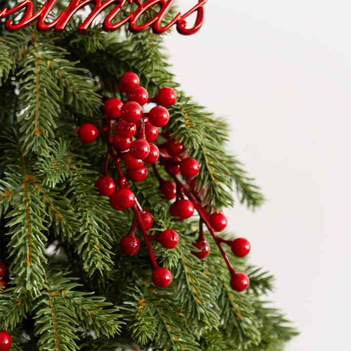 赤い実オーナメント3個セット