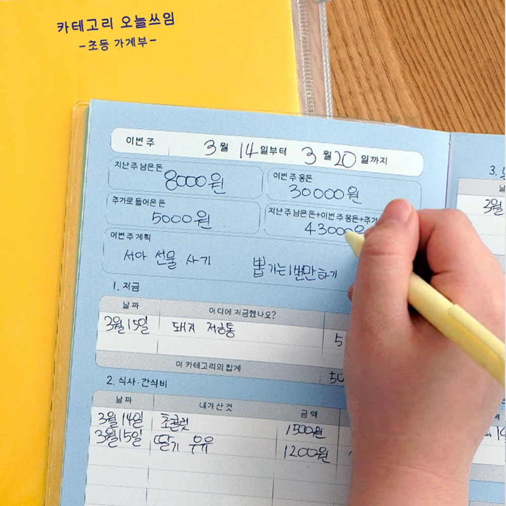 초등 카테고리 오늘쓰임 가계부 용돈기입장 가격 비교 리훈 초등 카테고리 오늘쓰임 가계부 용돈기입장