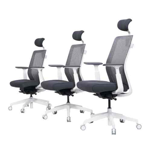 ベーシック SML プラス［3色・3サイズ］