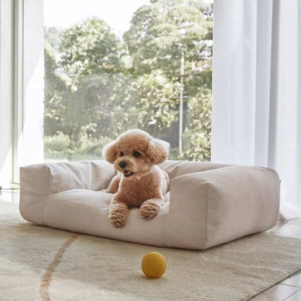 PET クッション ファブリック［2色］