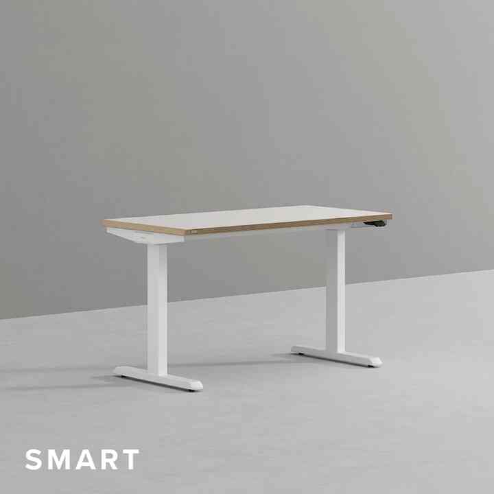 1200x600 電動昇降デスク スマート DSDCM1206