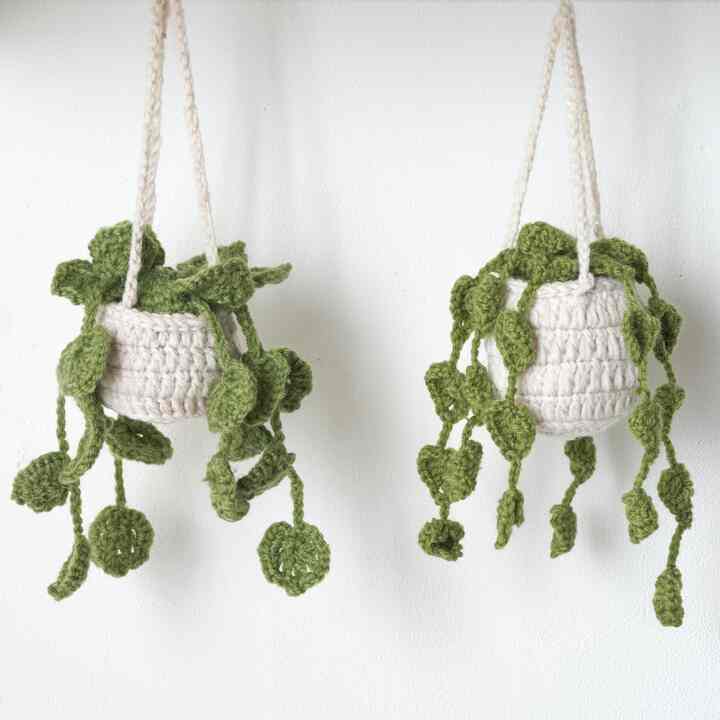 ニット ハンギングプランツ［2種］