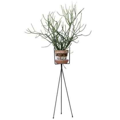 ワイヤー プラントスタンド S