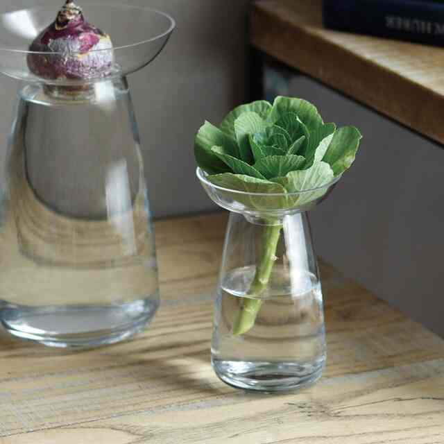 アクアカルチャーベース ［2サイズ］