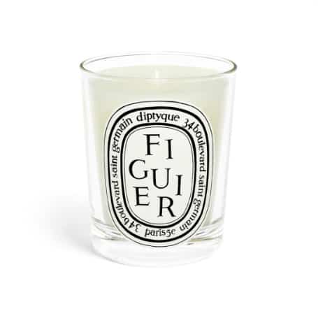 Figuier / Fig Tree Candle (4 sizes)