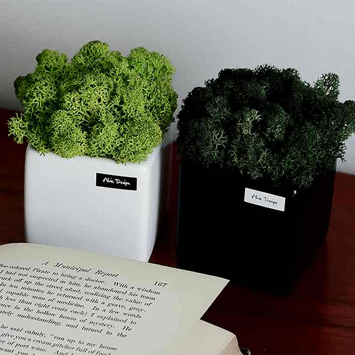 スカンディアモス