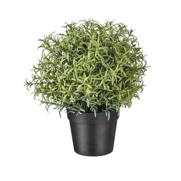 FEJKA フェイカ 人工観葉植物, ローズマリー, 9 cm