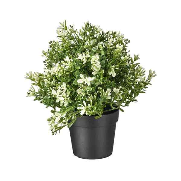 FEJKA, Tanaman tiruan dalam pot, timi, 9 cm