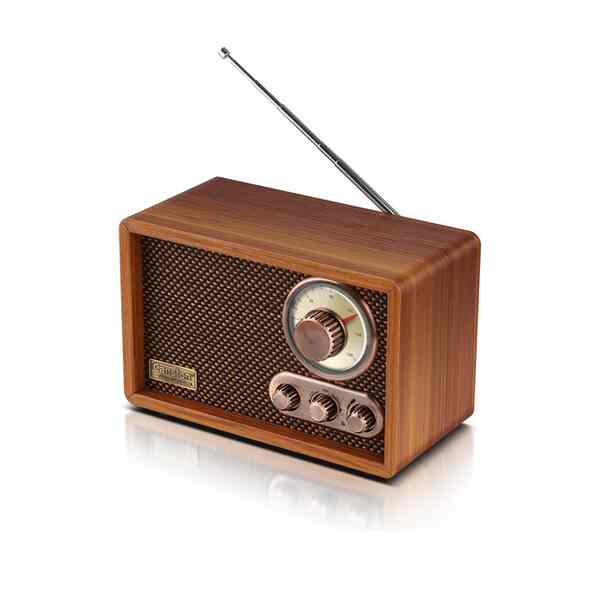 FM RADIO WIRELESS BLUETOOTH スピーカー TR-2200