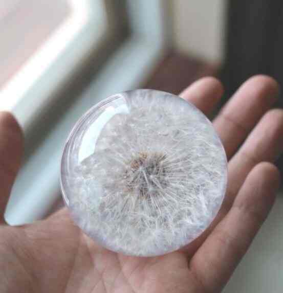 paperweight flora