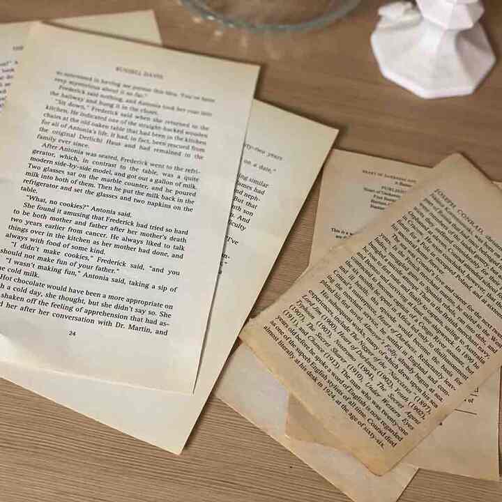 英文ペーパー［2サイズ］