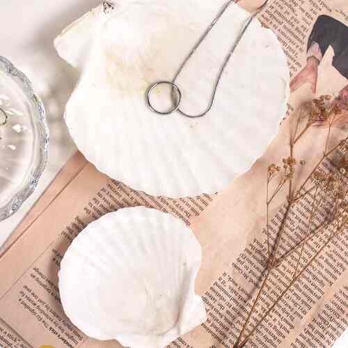 天然シェル アクセサリートレイ［2サイズ］