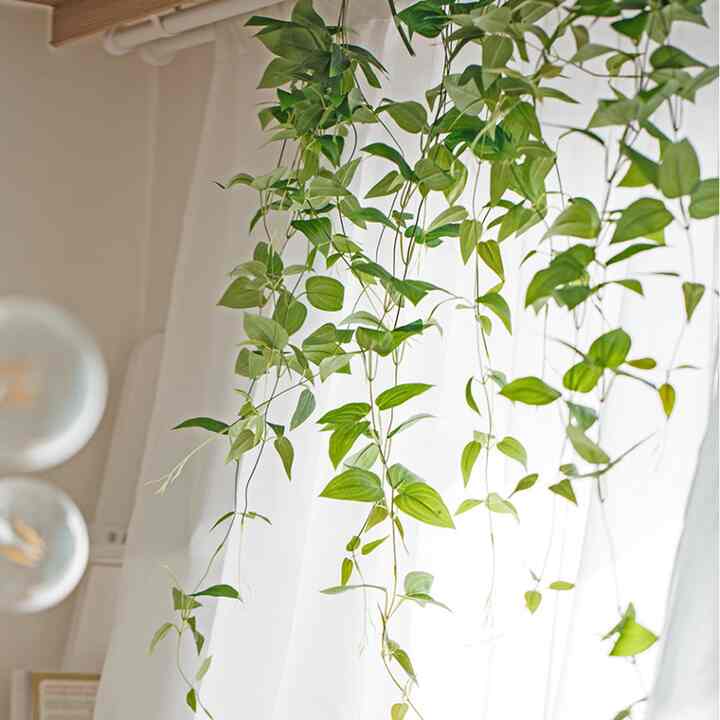 smilax フェイク ハンギングプランツ［3サイズ］