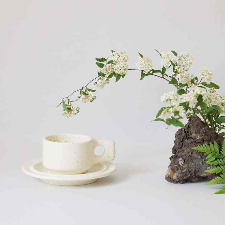 Ｐｌａｔ　Ｃｕｐ＆Ｓａｕｃｅｒ