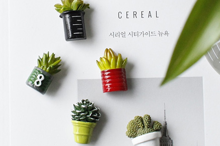 마그넷·도어벨 > 미니어처 마그넷 냉장고 자석 다육 선인장 set | 오늘의집 쇼핑 미니어처 마그넷 냉장고 자석 다육 선인장 set