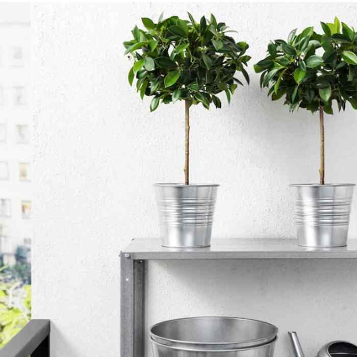 FEJKA フェイカ 人工観葉植物, 室内/屋外用/ベンジャミン 幹