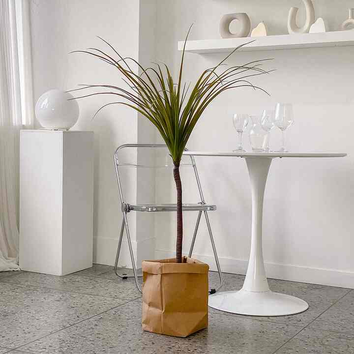 リュウケツジュ 造花［3サイズ］