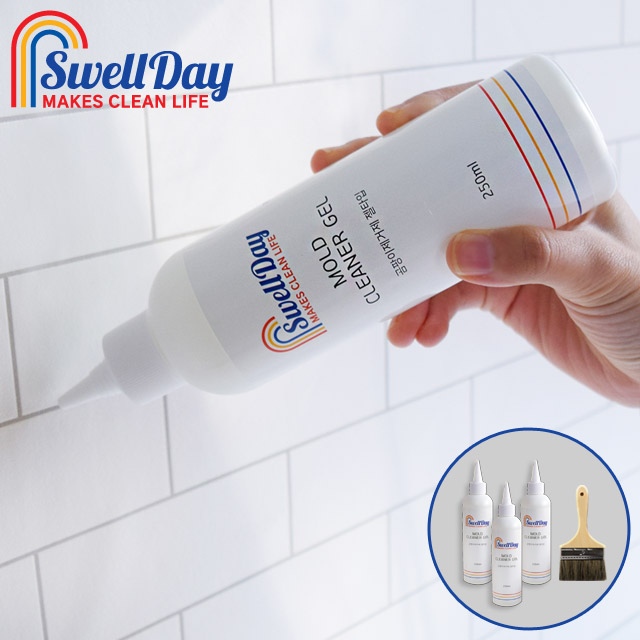 스웰데이 고농축 곰팡이제거제 250ml 3개 + 도포붓