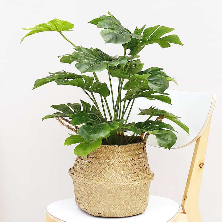 モンステラ造花 60cm＆ラタンバスケットセット