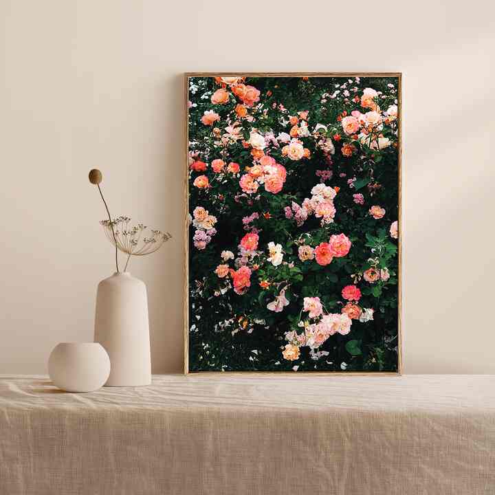 MY EUROPE MOMENT. 34 Blooming Rosy ポスター