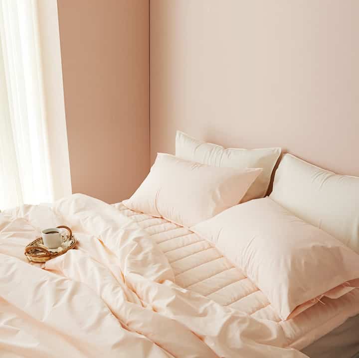 ダストフリー アレルギーケア 四季 抗菌 掛け布団＆パッドセット［5色・3サイズ］