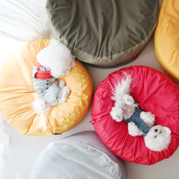 SSOOOK™CUSHION ペット クッション＆カバーセット［5色・4種・4サイズ］