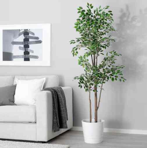 FEJKA フェイカ 人工観葉植物, 室内/屋外用 ベンジャミン